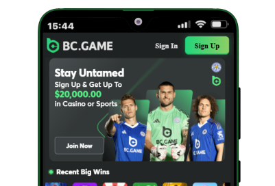 Opening the website on an Android phone