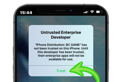 iOS app installation permission screen on a mobile phone