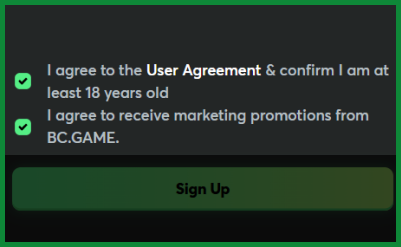 Accepting BC.Game Casino terms